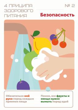 4 принципа здорового питания