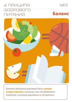 4 принципа здорового питания