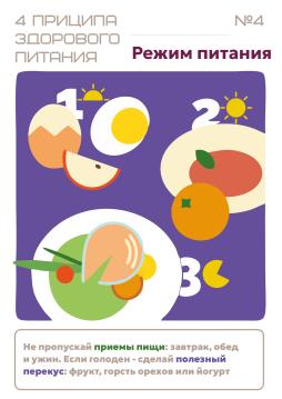 4 принципа здорового питания